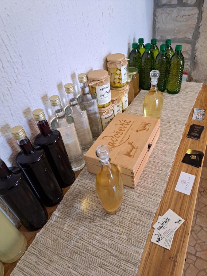 Sobe Anja Konuk evi Brtonigla Dış mekan fotoğraf