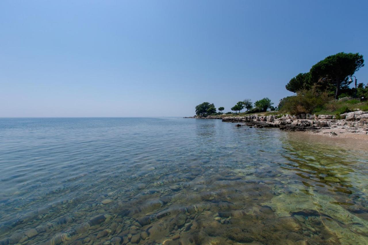 Sobe Anja Konuk evi Brtonigla Dış mekan fotoğraf